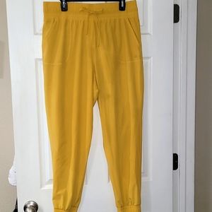 Albion Mustard Destination Joggers